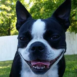 Meet your Posher, Jesse